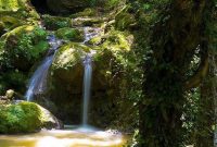 طبیعت زیبای شمال ایران