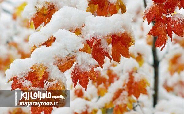 افزایش ۴ تا ۷ درجه ای دمای گیلان/ بارش برف و باران از هفته آینده افزایش ۴ تا ۷ درجه ای دمای گیلان/ بارش برف و باران از هفته آینده