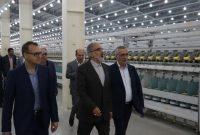 حمایت از واحدهای تولیدی، کلید رشد پایدار اقتصادی و مهار تورم است