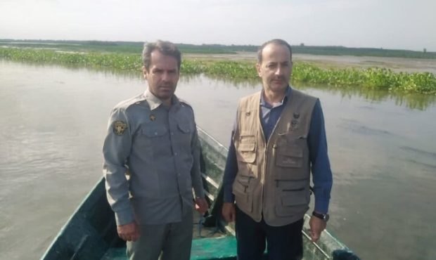 آغاز اقدامات پیشگیرانه آنفلوانزای فوق حاد پرندگان در تالاب انزلی