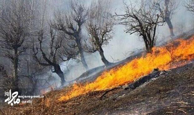 آتشسوزی در درفک رودبار خاموش شد آتشسوزی در درفک رودبار خاموش شد