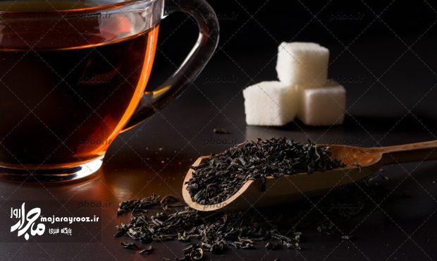 تولید بیش از ۱۹ هزار تُن چای خشک در شمال کشور