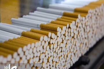 یک میلیون نخ سیگار قاچاق در آستارا کشف شد