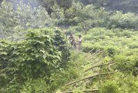 ضربه قاطع پلیس گیلان به زمینخواران تالش؛ رفع تصرف ۷۵ هزار مترمربع از اراضی ملی ضربه قاطع پلیس گیلان به زمینخواران تالش؛ رفع تصرف ۷۵ هزار مترمربع از اراضی ملی