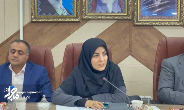سیاست وزارت کشاورزی تمرکز بر احیا و اصلاح باغات کیوی است سیاست وزارت کشاورزی تمرکز بر احیا و اصلاح باغات کیوی است