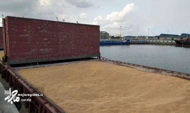 نهادههای دامی گیلان با نظارت دقیق ترخیص می شوند نهادههای دامی گیلان با نظارت دقیق ترخیص می شوند