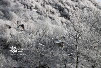 گزارش تصویری | بارش برف زمستانی در روستای کاکرود رحیم‌آباد رودسر