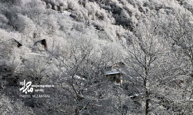 گزارش تصویری | بارش برف زمستانی در روستای کاکرود رحیم‌آباد رودسر