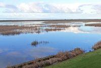 پروژه احیای تالاب بوجاق به ثمر نشست