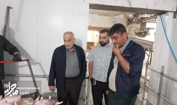با افزایش غیرمنطقی قیمت مرغ قاطعانه برخورد می‌کنیم