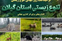 گیلان گنجینه‌ای از تنوع زیستی ایران + فیلم