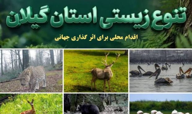 گیلان گنجینه‌ای از تنوع زیستی ایران + فیلم