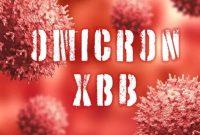 «کراکن»؛ آیا سویه جدید کرونا نگرانکننده است؟ «کراکن»؛ آیا سویه جدید کرونا نگرانکننده است؟