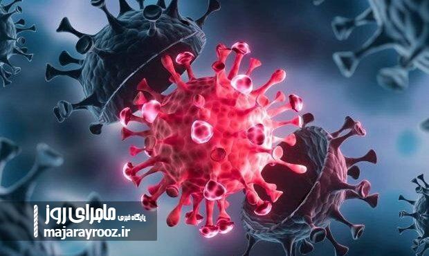 ۷ شهرستان گیلان زرد شد/ لزوم تزریق دز یادآور واکسن کرونا ۷ شهرستان گیلان زرد شد/ لزوم تزریق دز یادآور واکسن کرونا