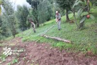 رفع تصرف ۵۰۰ متر مربع از اراضی منطقه حفاظت شده لیسار در تالش