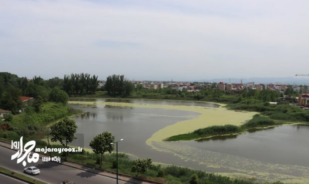 تدوین سند ساماندهی و احیای تالاب عینک رشت