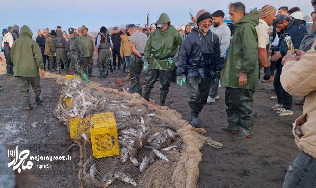 حدود هزار و ۴۰۰ تن انواع ماهیان استخوانی در گیلان صید شد حدود هزار و ۴۰۰ تن انواع ماهیان استخوانی در گیلان صید شد