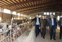 ایجاد پروژه‌های چند منظوره در مناطق مستعد گیلان ضروری است