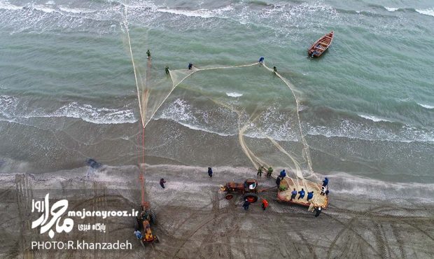 صید بیش از ۷۰۰ تن ماهیان استخوانی از آغاز فصل صید صید بیش از ۷۰۰ تن ماهیان استخوانی از آغاز فصل صید