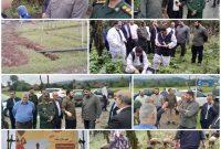 اجرای  ۱۳۰۰ پروژه جهادی توسط بنیاد برکت در کشور