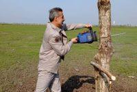 شکارچیان غیرمجاز در خمام ناکام ماندند