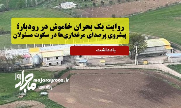 روایت یک بحران خاموش در رودبار؛پیشروی پرصدای مرغداریها در سکوت مسئولان روایت یک بحران خاموش در رودبار؛پیشروی پرصدای مرغداریها در سکوت مسئولان