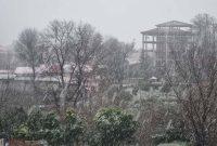 گزارش تصویری | بارش برف زمستانی در رشت