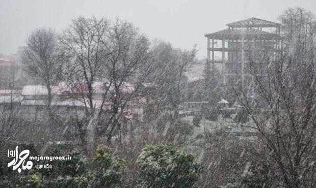 گزارش تصویری | بارش برف زمستانی در رشت