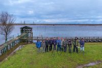 آغاز سرشماری پرندگان مهاجر آبزی در گیلان با بهره‌گیری از فناوری‌های نوین