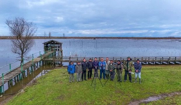 آغاز سرشماری پرندگان مهاجر آبزی در گیلان با بهره‌گیری از فناوری‌های نوین