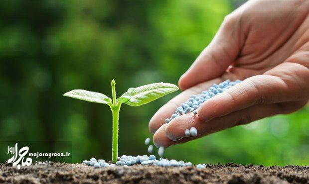 توزیع بیش از ۲۰ هزار تن کود کشاورزی در گیلان