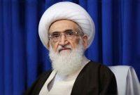 انتخاب رهبری موجب نا امیدی دشمن میشود انتخاب رهبری موجب نا امیدی دشمن میشود