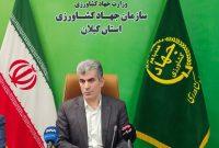 توصیه رئیس سازمان جهاد کشاورزی گیلان به شالیکاران؛ استفاده از شالیکوبی‌های مدرن ضایعات برنج را کاهش می‌دهد
