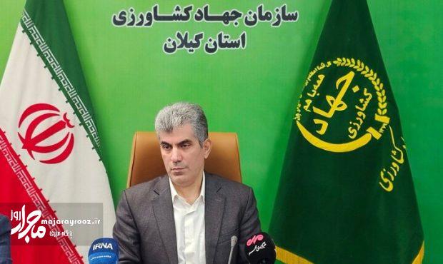 توصیه رئیس سازمان جهاد کشاورزی گیلان به شالیکاران؛ استفاده از شالیکوبی‌های مدرن ضایعات برنج را کاهش می‌دهد