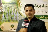 برگزاری مسابقات والیبال خیابانی در بندرکیاشهر؛ رویدادی برای توسعه نشاط اجتماعی